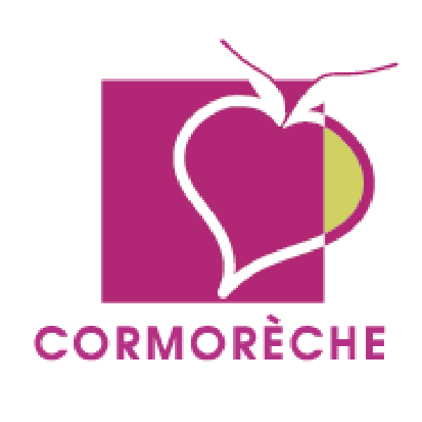 Asset 41@2x logo cormoreche