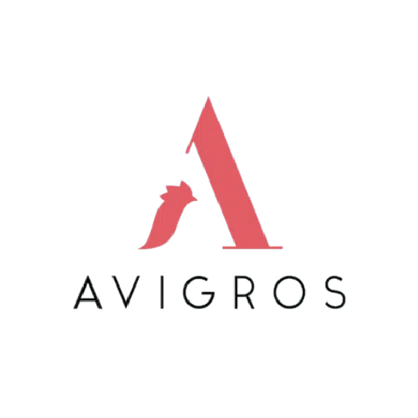 Asset 42@2x logo avigros